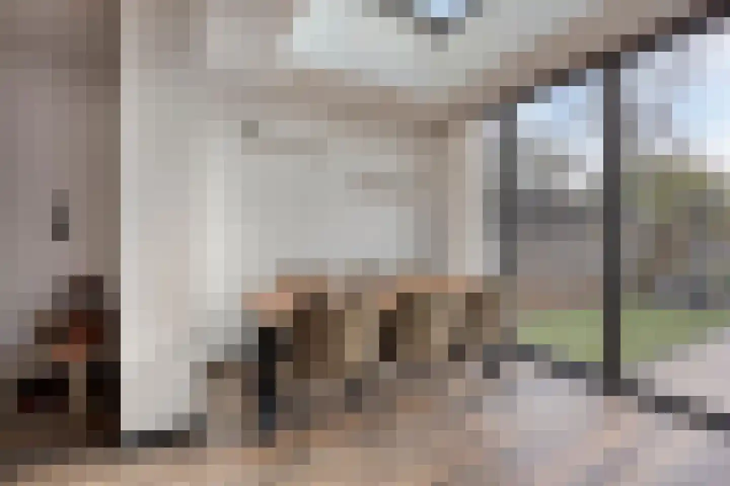Matjeszoom 25 Koog aan de Zaan thumbnail 12