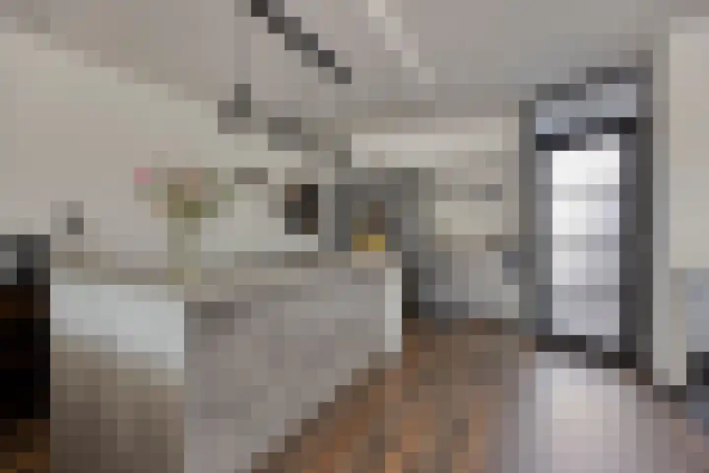 Matjeszoom 25 Koog aan de Zaan thumbnail 13