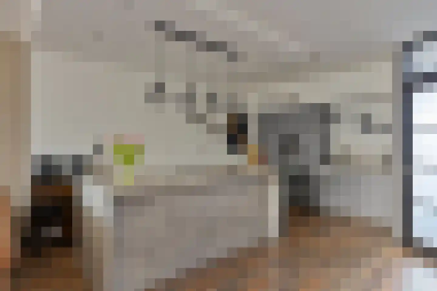 Matjeszoom 25 Koog aan de Zaan thumbnail 14