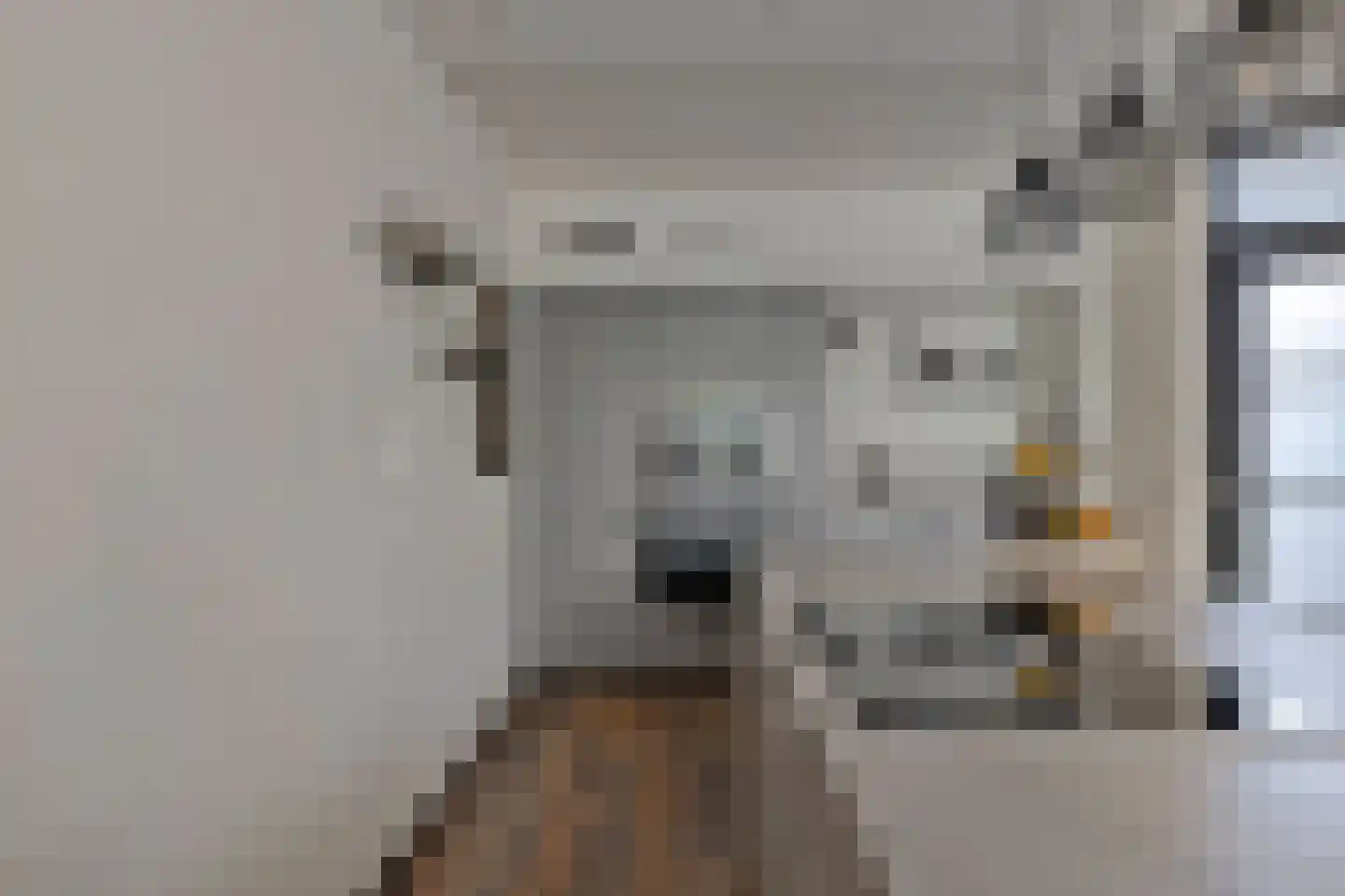 Matjeszoom 25 Koog aan de Zaan thumbnail 16