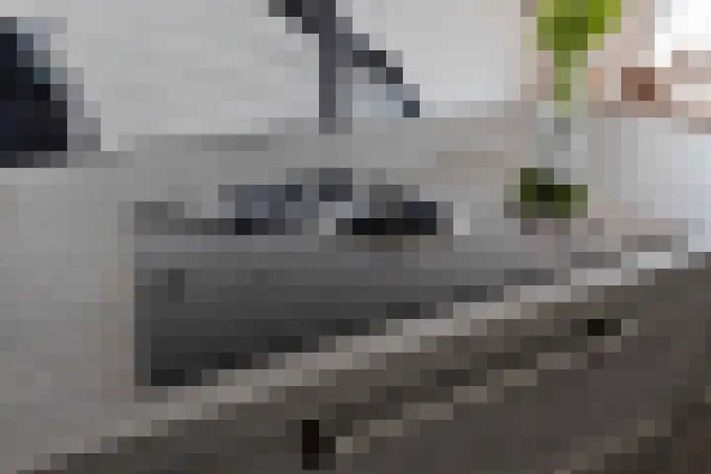 Matjeszoom 25 Koog aan de Zaan thumbnail 17