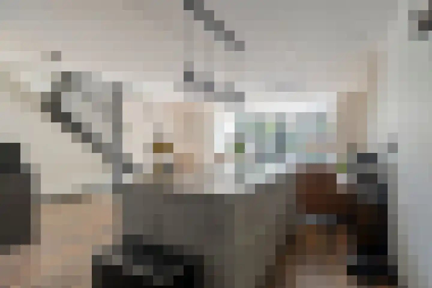 Matjeszoom 25 Koog aan de Zaan thumbnail 18