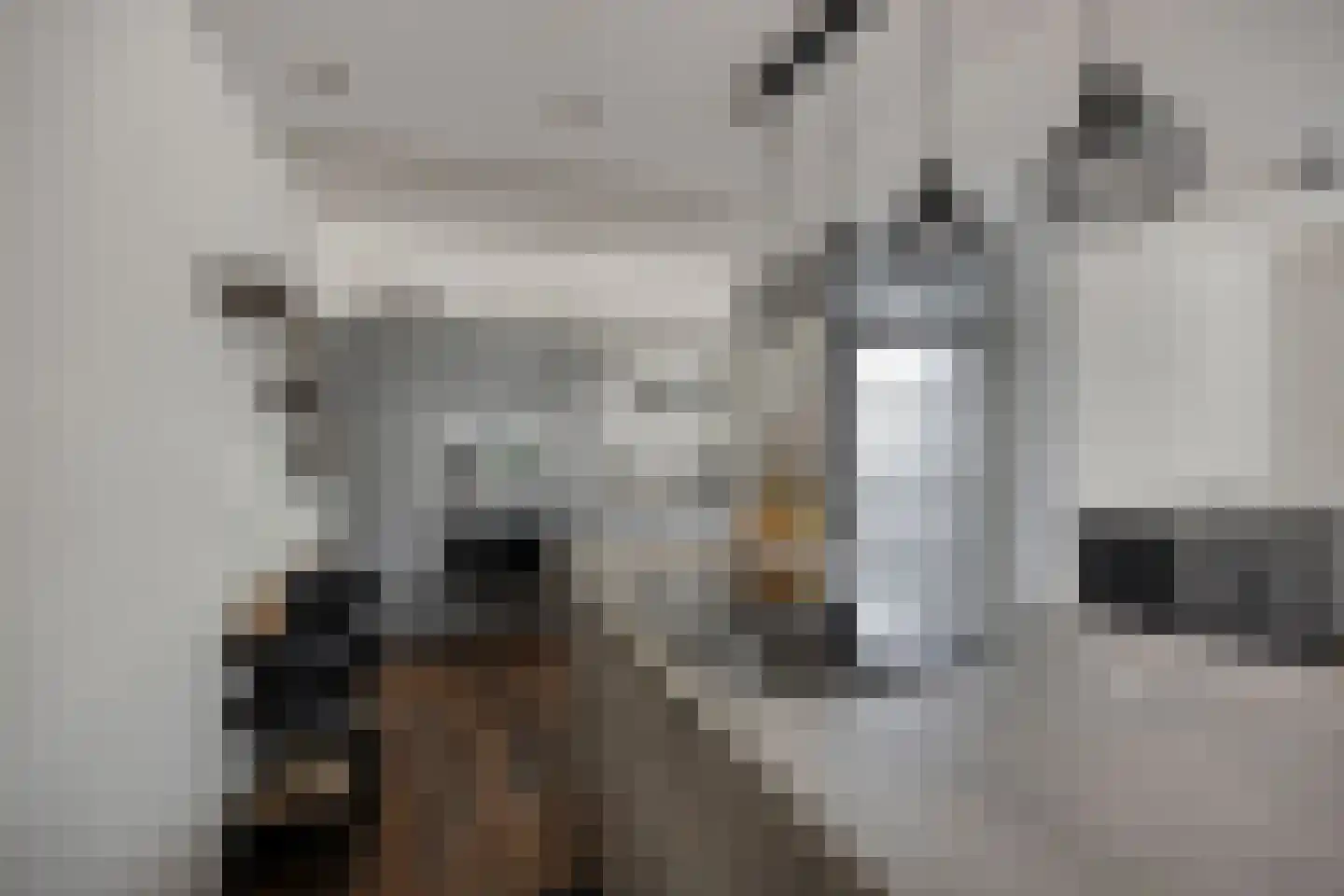 Matjeszoom 25 Koog aan de Zaan thumbnail 19