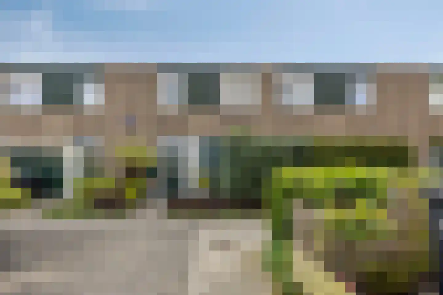 Matjeszoom 25 Koog aan de Zaan foto 2