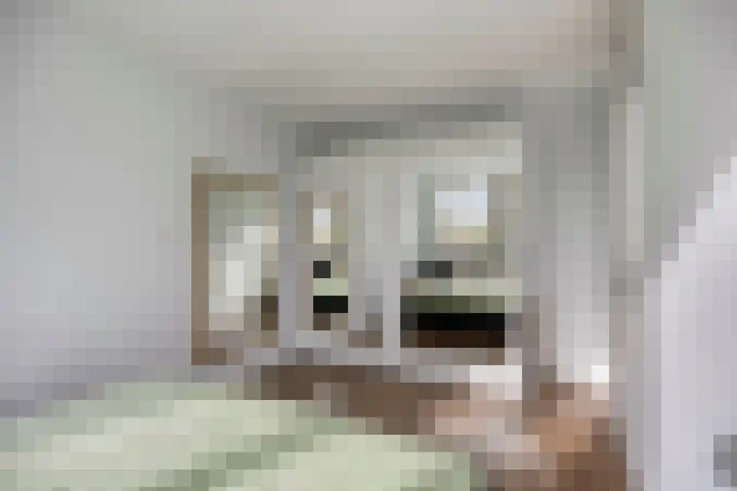 Matjeszoom 25 Koog aan de Zaan thumbnail 23