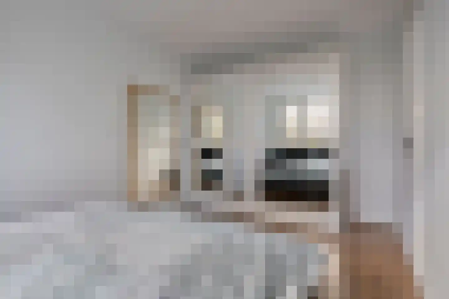 Matjeszoom 25 Koog aan de Zaan thumbnail 25