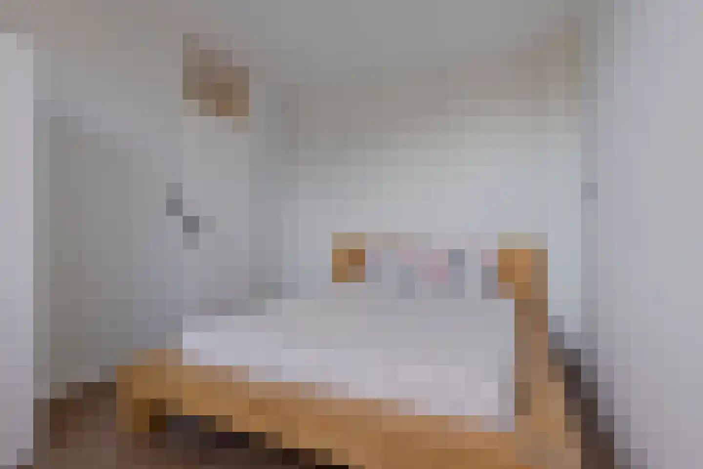Matjeszoom 25 Koog aan de Zaan thumbnail 26