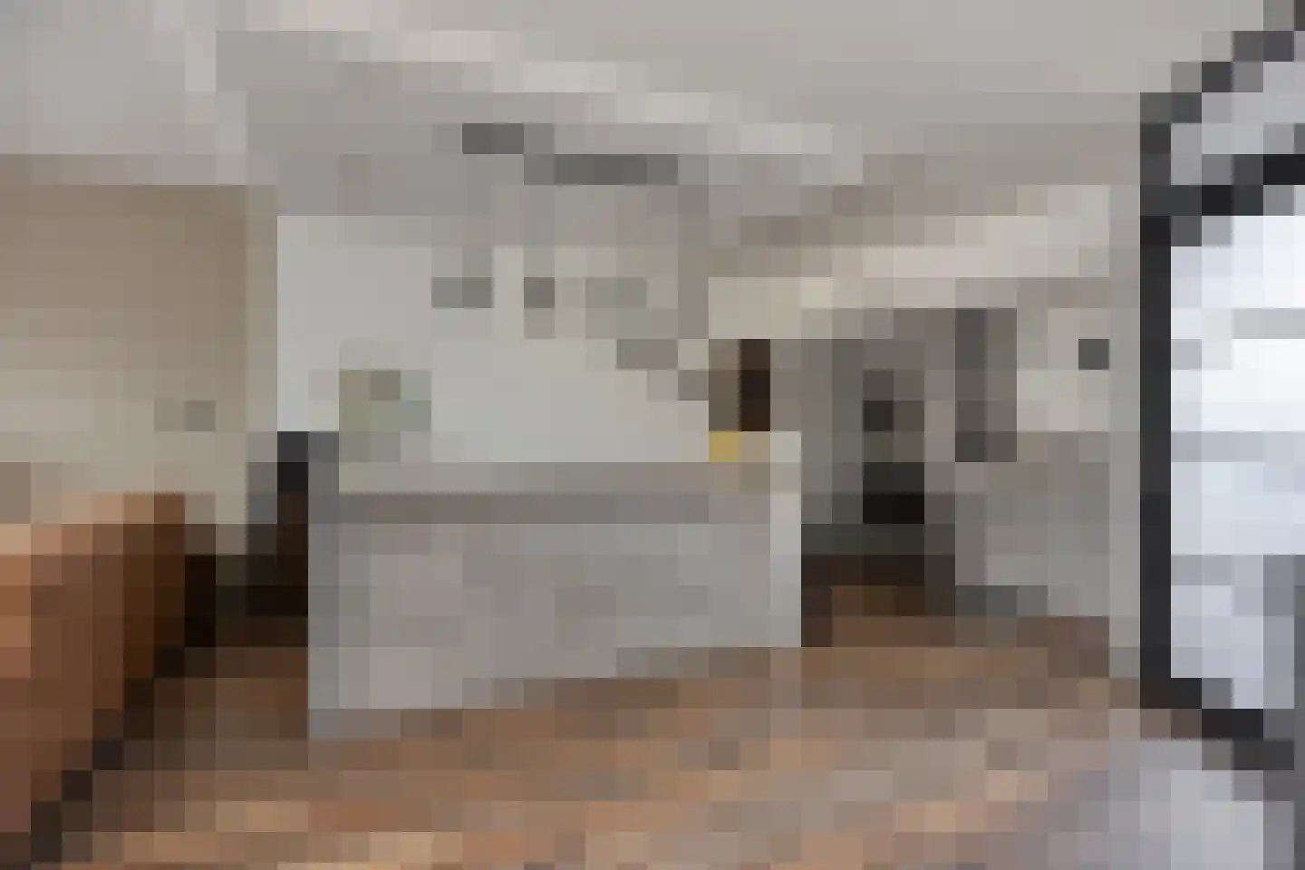 Matjeszoom 25 Koog aan de Zaan foto 3