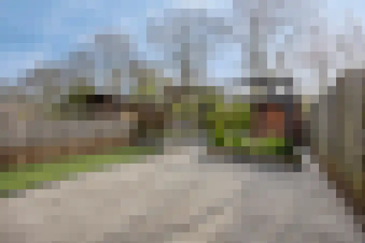 Matjeszoom 25 Koog aan de Zaan thumbnail 36