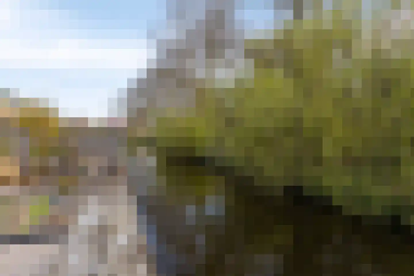 Matjeszoom 25 Koog aan de Zaan thumbnail 38