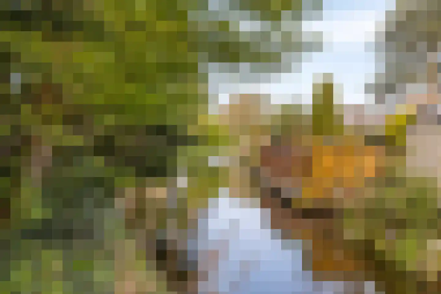 Matjeszoom 25 Koog aan de Zaan thumbnail 39