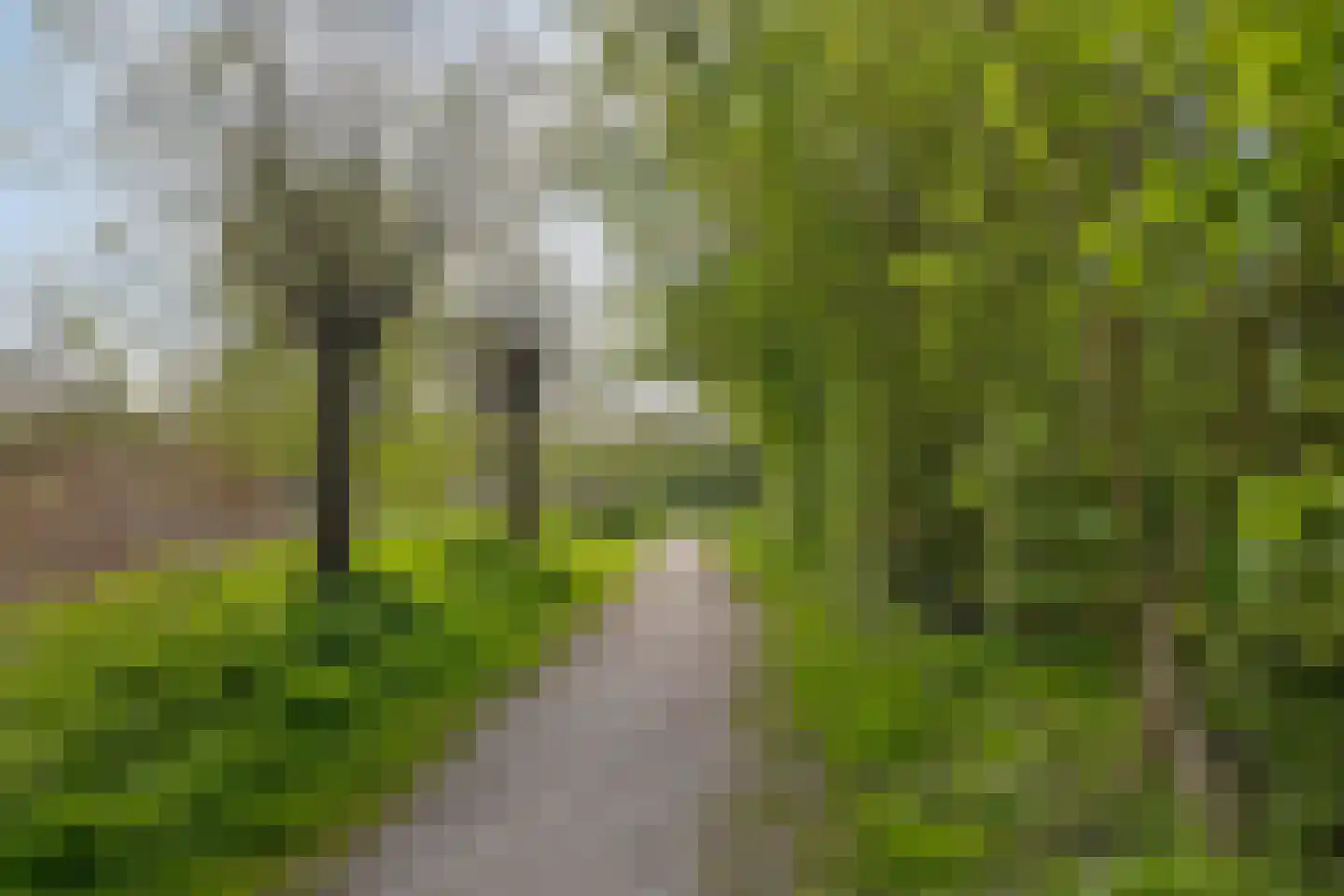 Matjeszoom 25 Koog aan de Zaan thumbnail 41