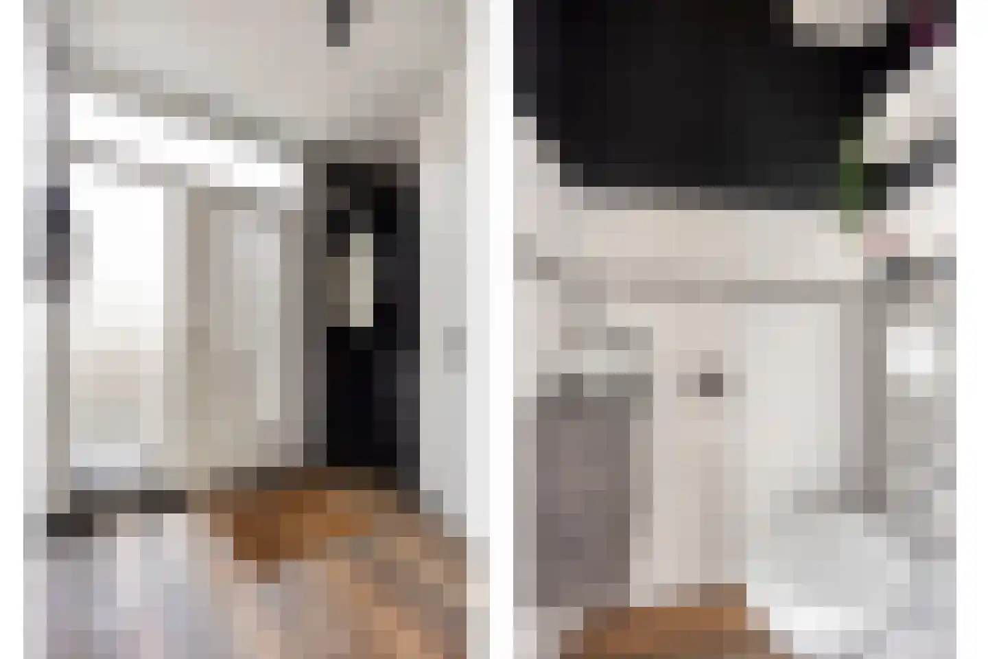 Matjeszoom 25 Koog aan de Zaan thumbnail 6