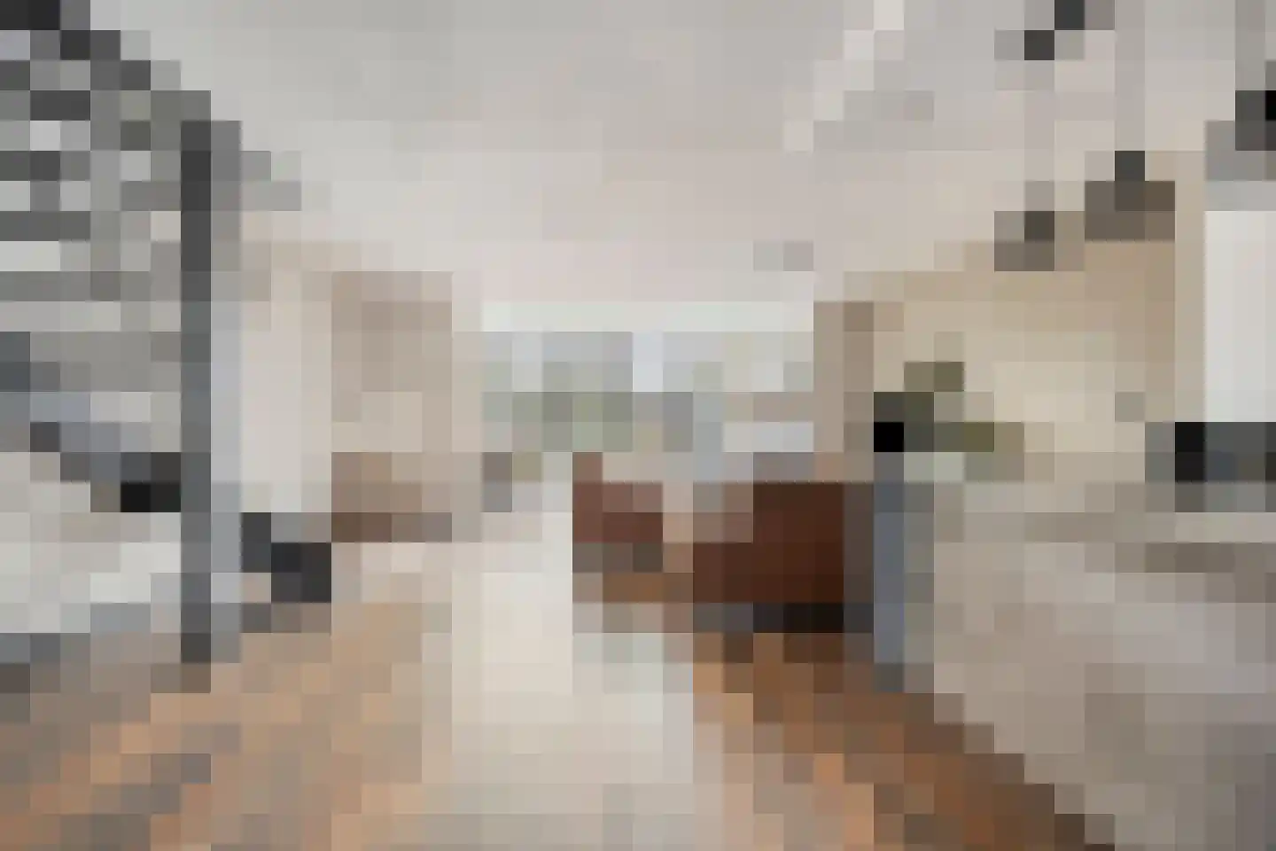 Matjeszoom 25 Koog aan de Zaan thumbnail 7
