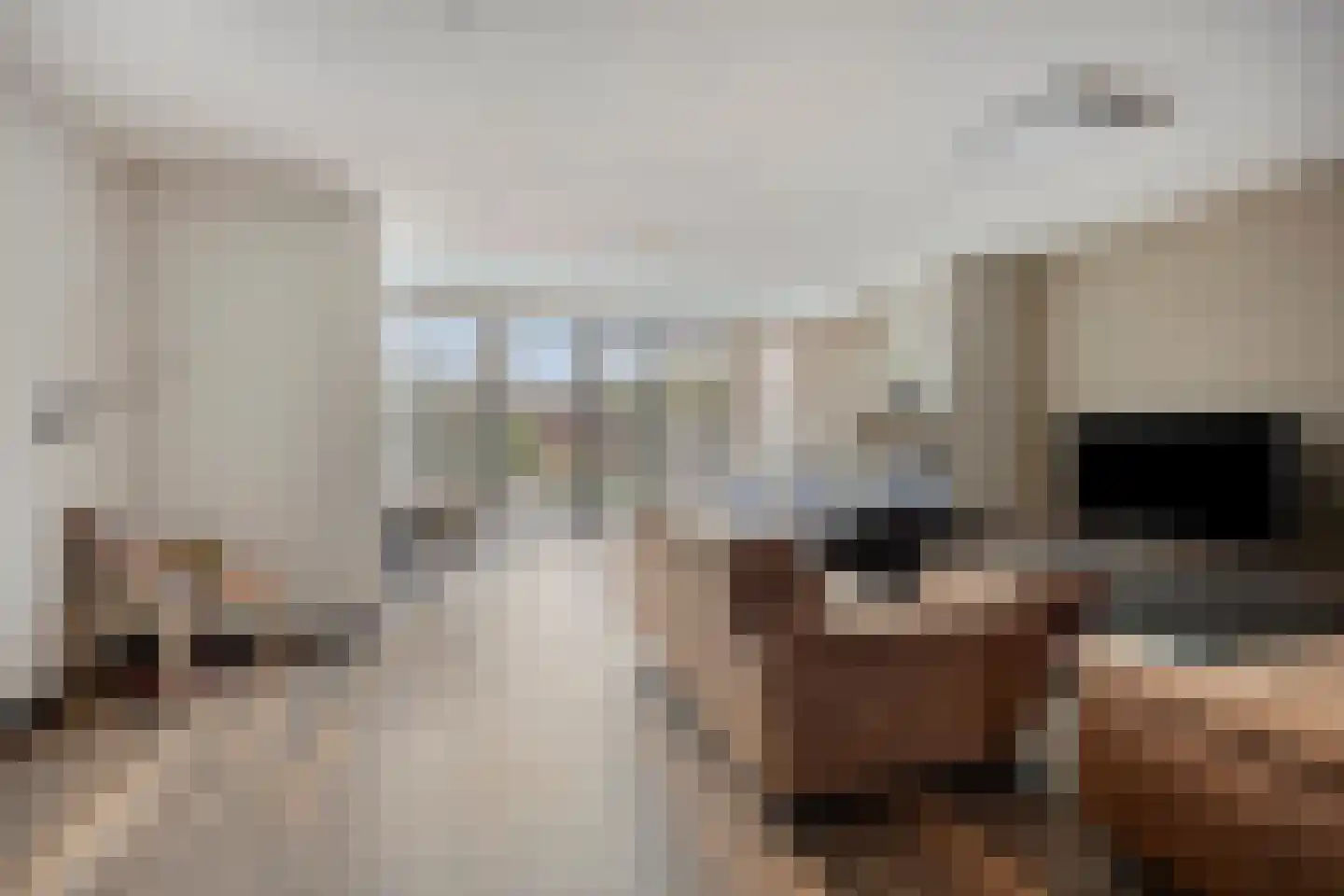 Matjeszoom 25 Koog aan de Zaan thumbnail 8
