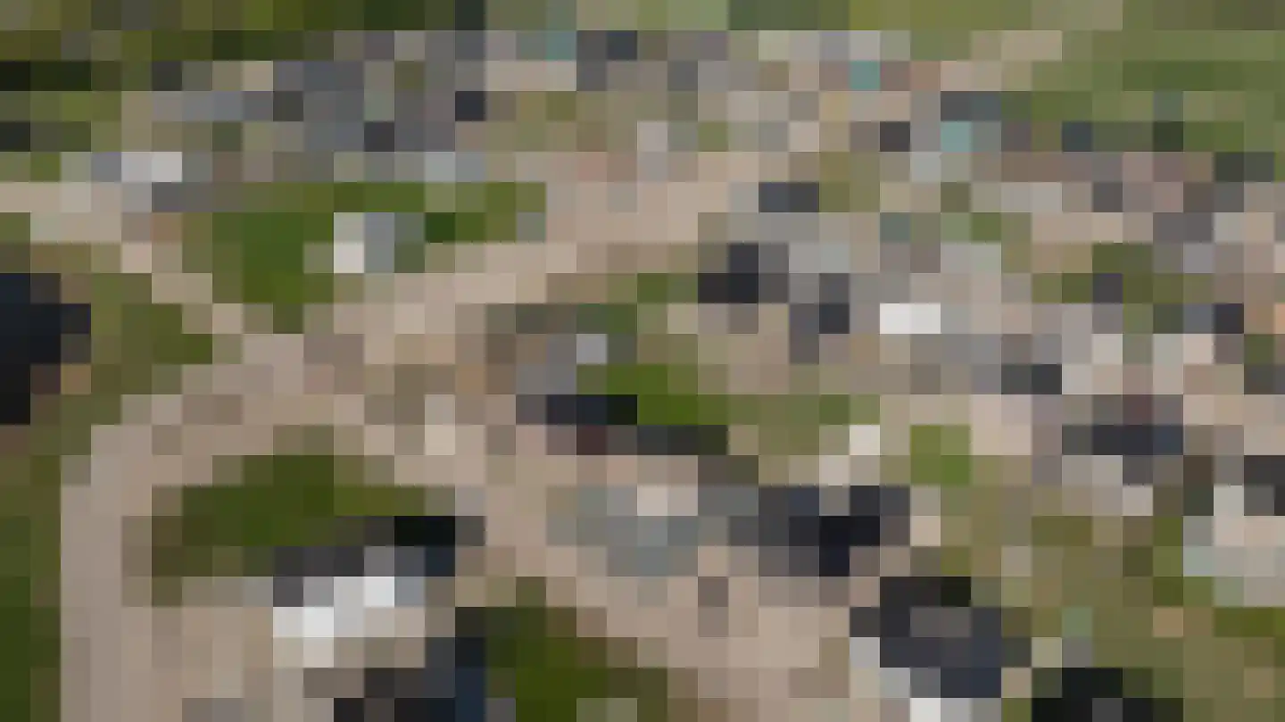 Matkoplaan 7 Almere thumbnail 68