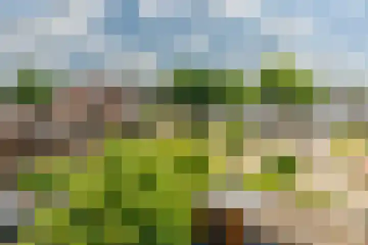 Matkopsingel 7 Nieuwegein thumbnail 18