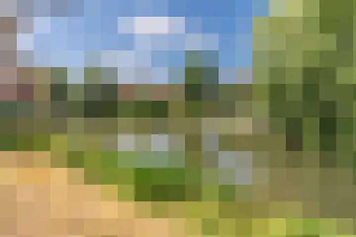 Matkopsingel 7 Nieuwegein thumbnail 26