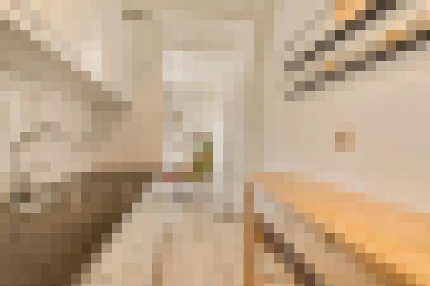 Matrozenhof 25 Amsterdam thumbnail 10