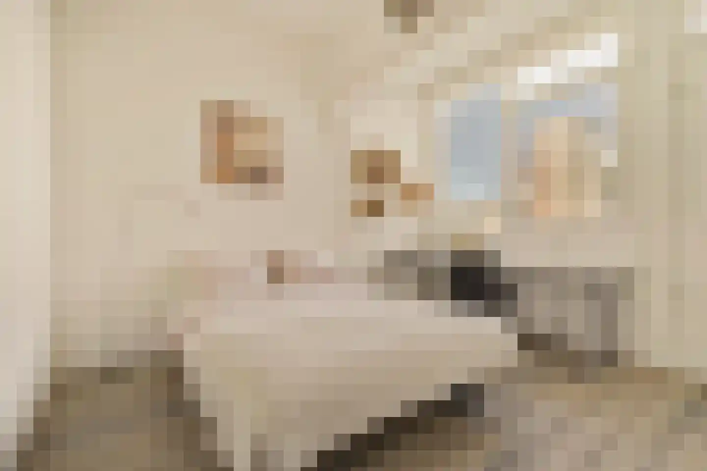 Matrozenhof 25 Amsterdam thumbnail 13