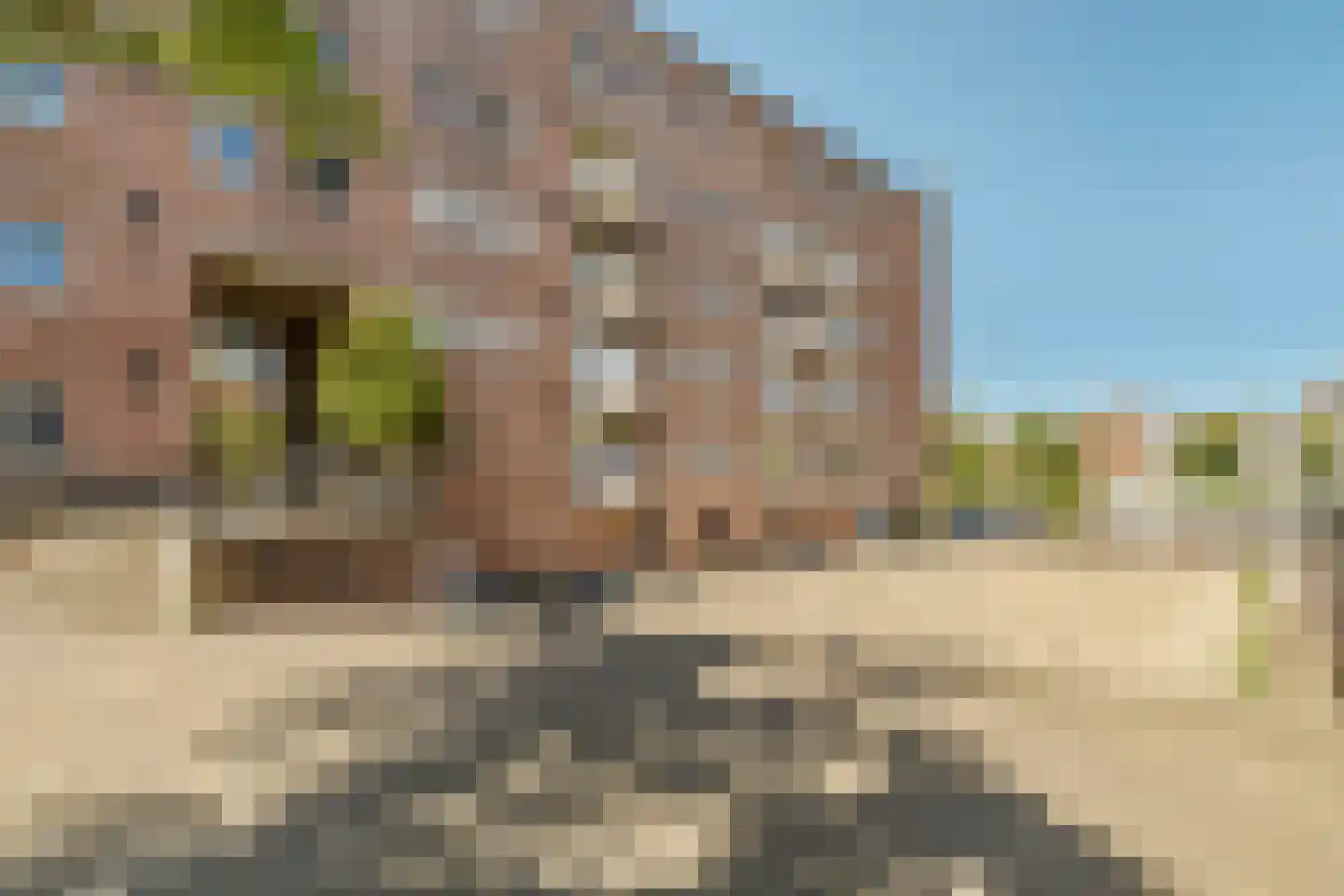 Matrozenhof 25 Amsterdam thumbnail 25