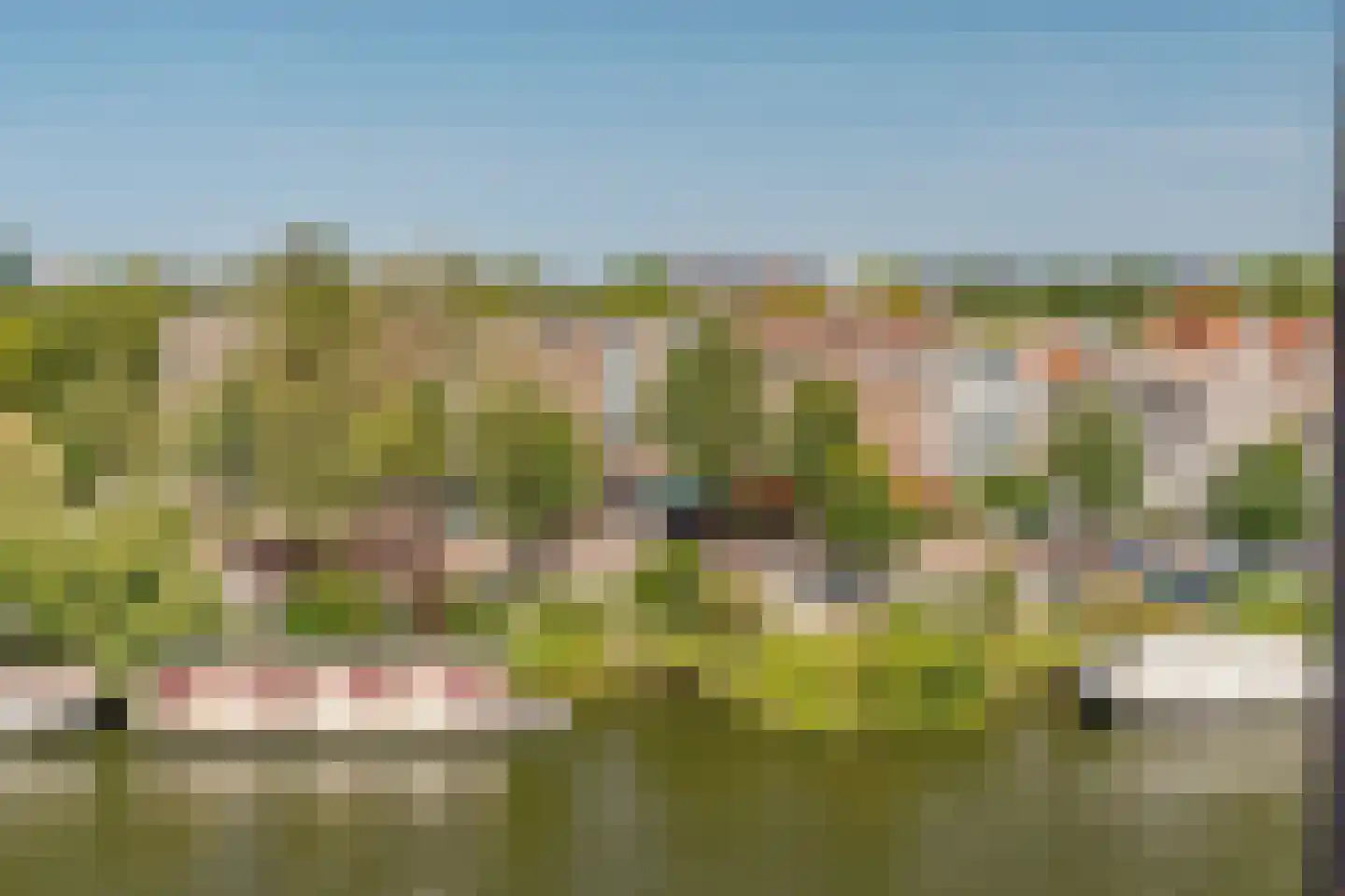 Matrozenhof 25 Amsterdam thumbnail 28
