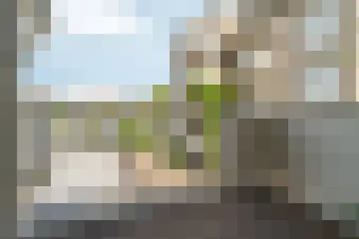 Matrozenhof 52 Amsterdam thumbnail 10