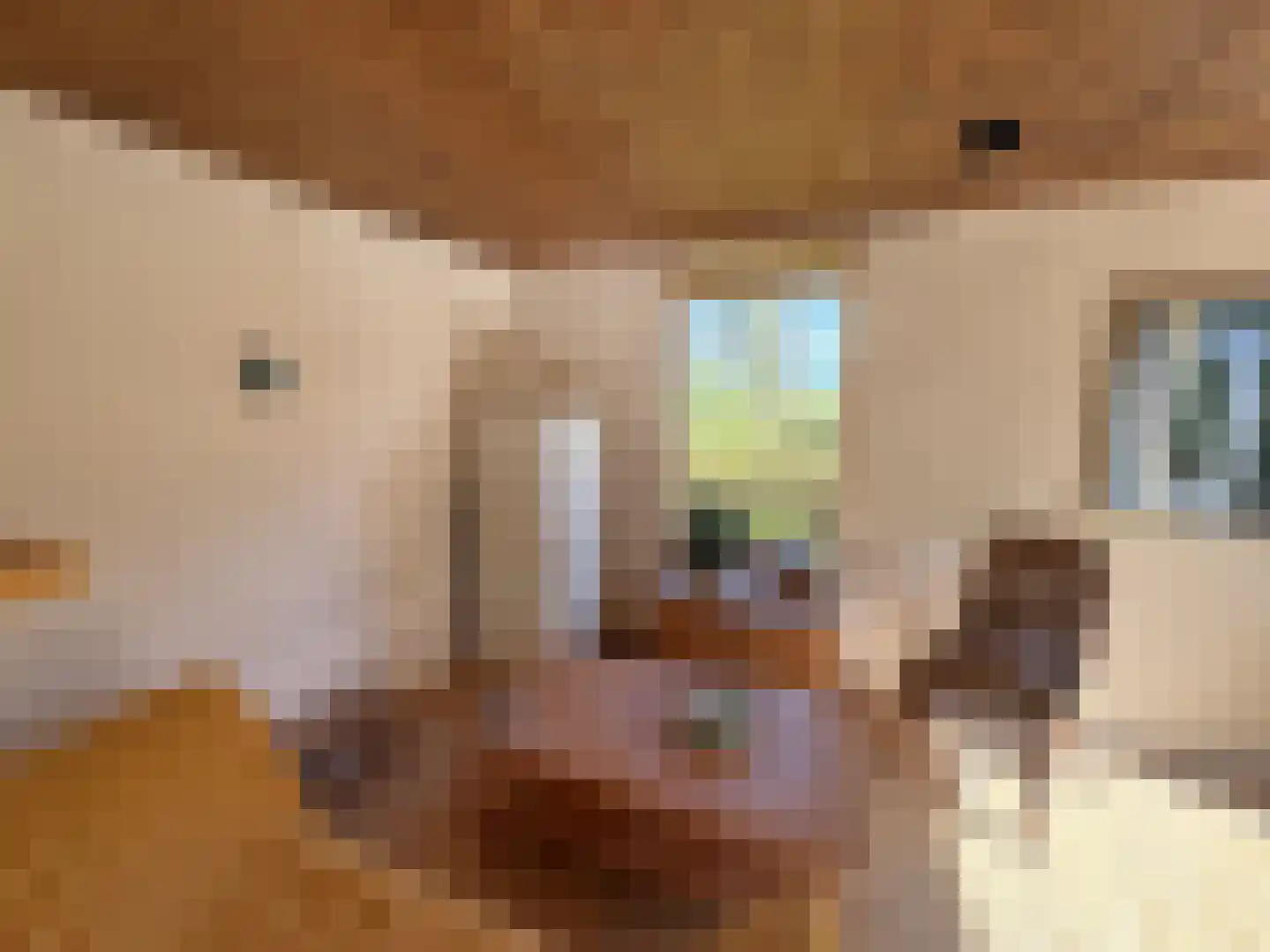 Matsloot 3 R87 Matsloot thumbnail 10