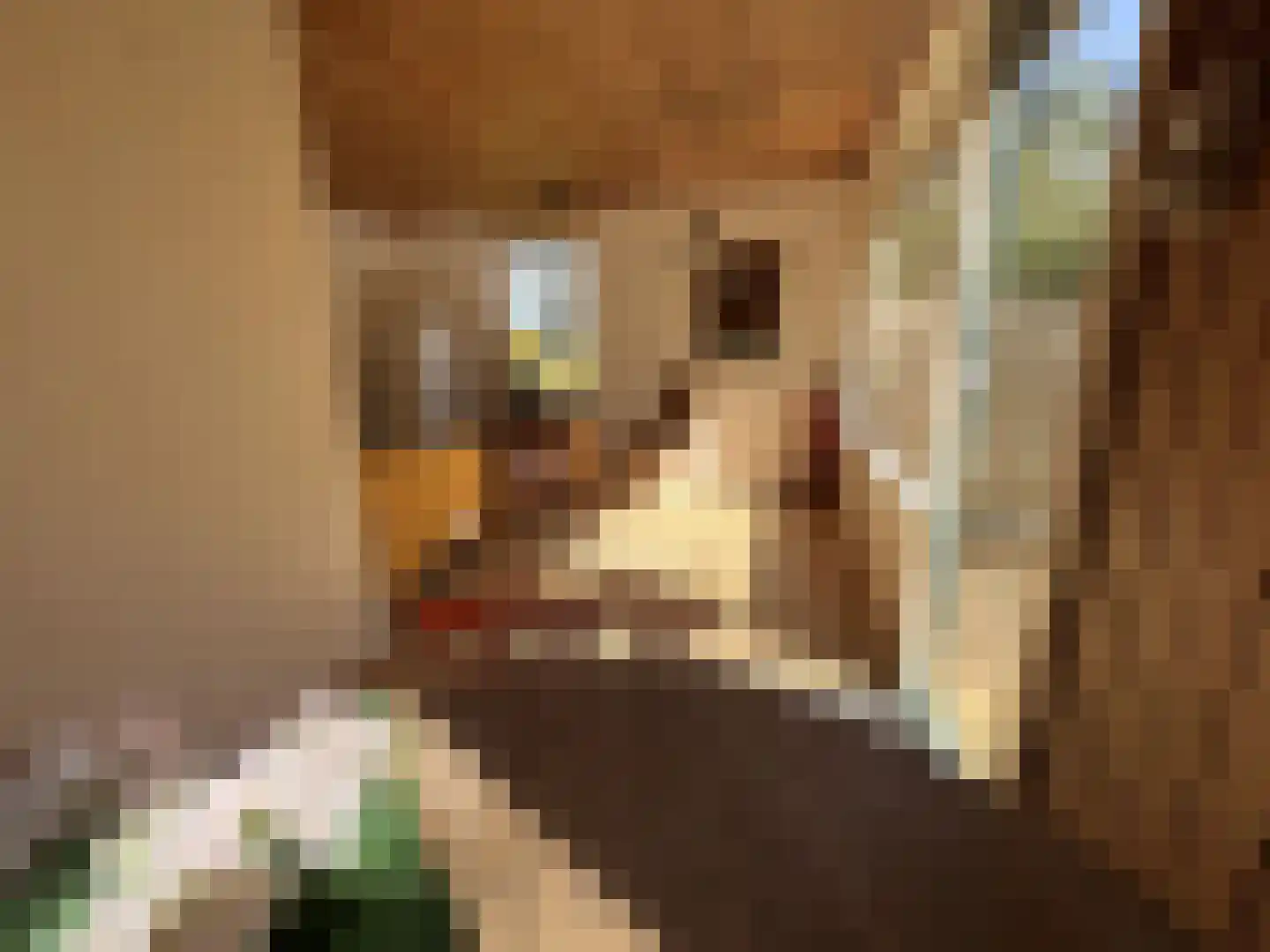 Matsloot 3 R87 Matsloot thumbnail 17