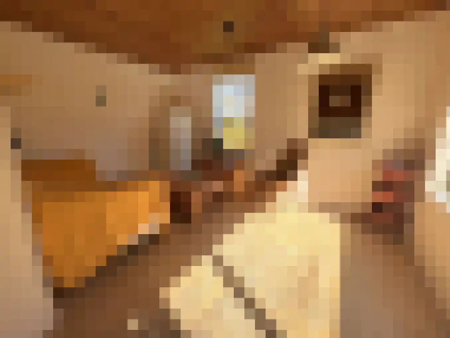 Matsloot 3 R87 Matsloot thumbnail 9