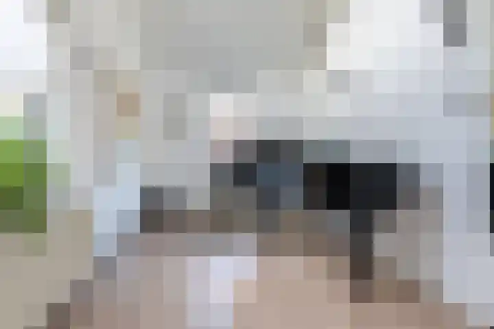 Matsmanveld 14 Koog aan de Zaan thumbnail 13