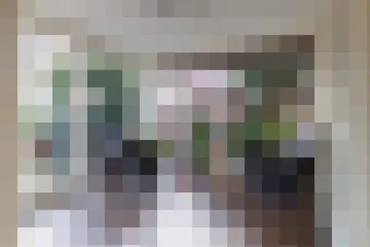 Matsmanveld 14 Koog aan de Zaan thumbnail 15