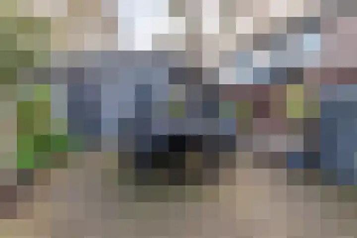Matsmanveld 14 Koog aan de Zaan thumbnail 19