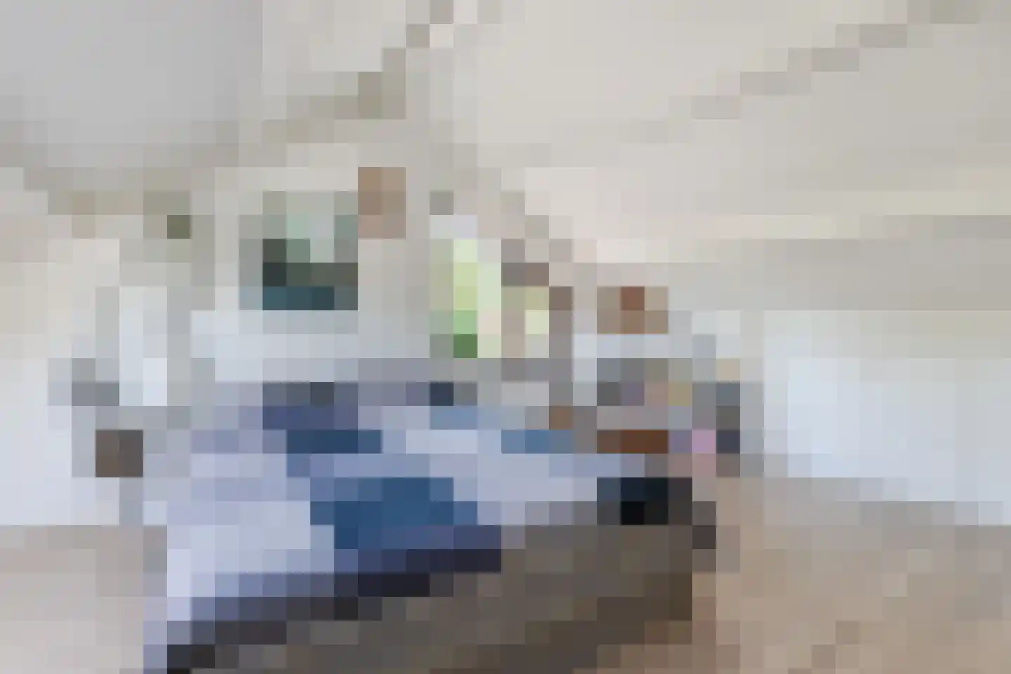 Matsmanveld 46 Koog aan de Zaan thumbnail 32