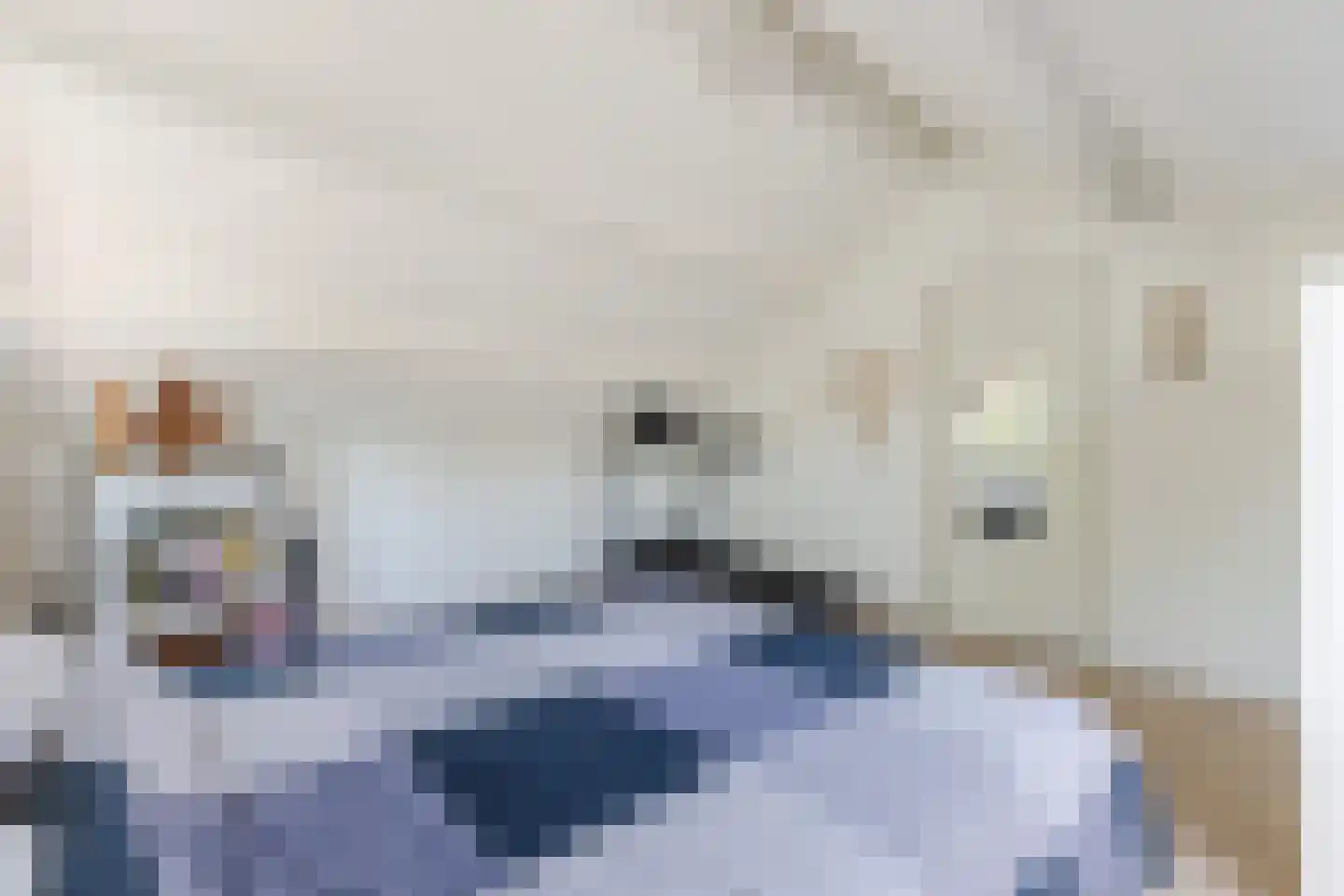 Matsmanveld 46 Koog aan de Zaan thumbnail 33