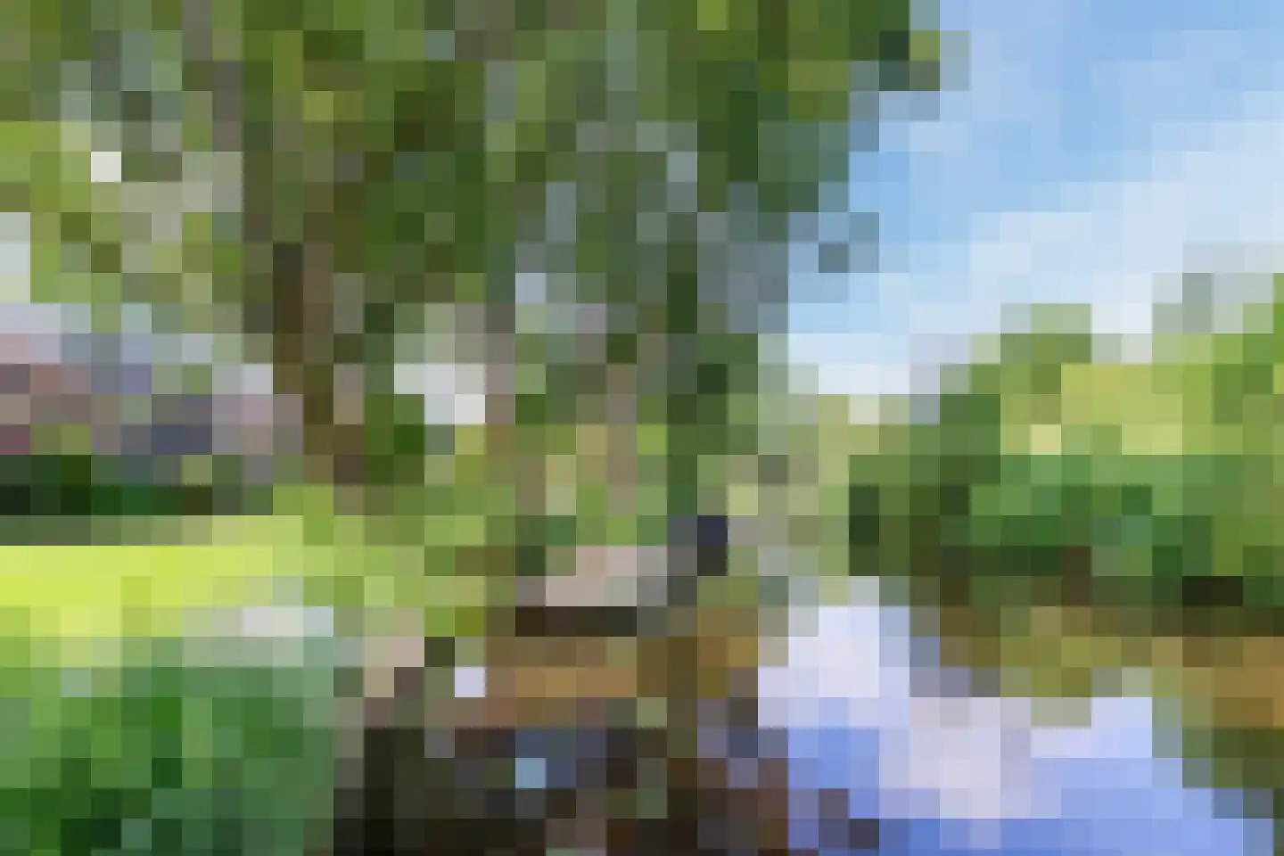 Matsmanveld 46 Koog aan de Zaan thumbnail 47