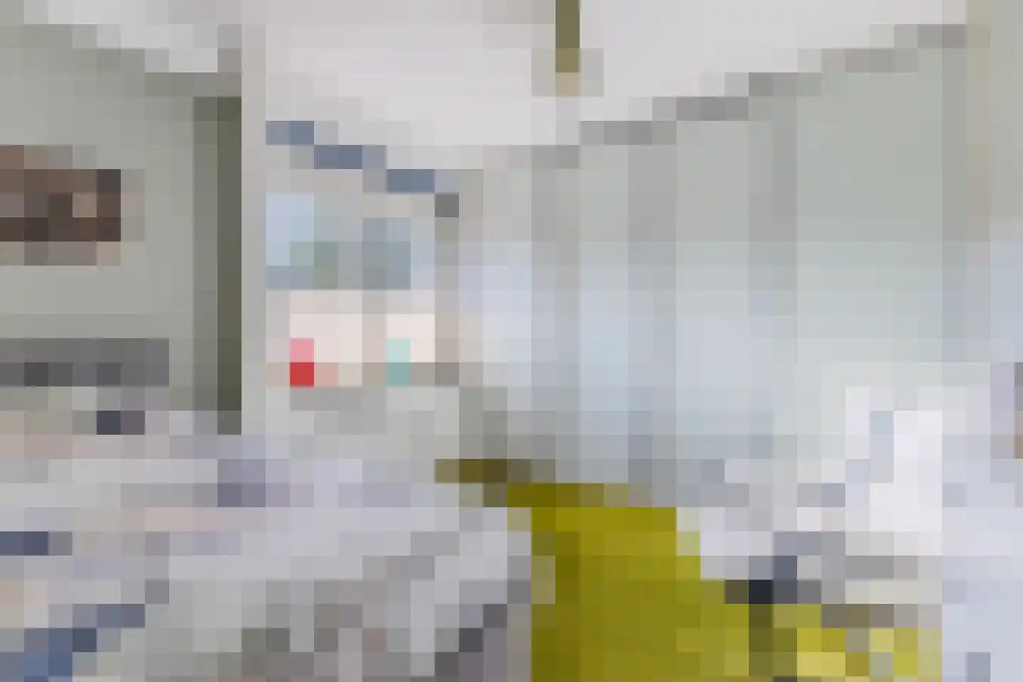 Matsmanzoom 23 Koog aan de Zaan thumbnail 20