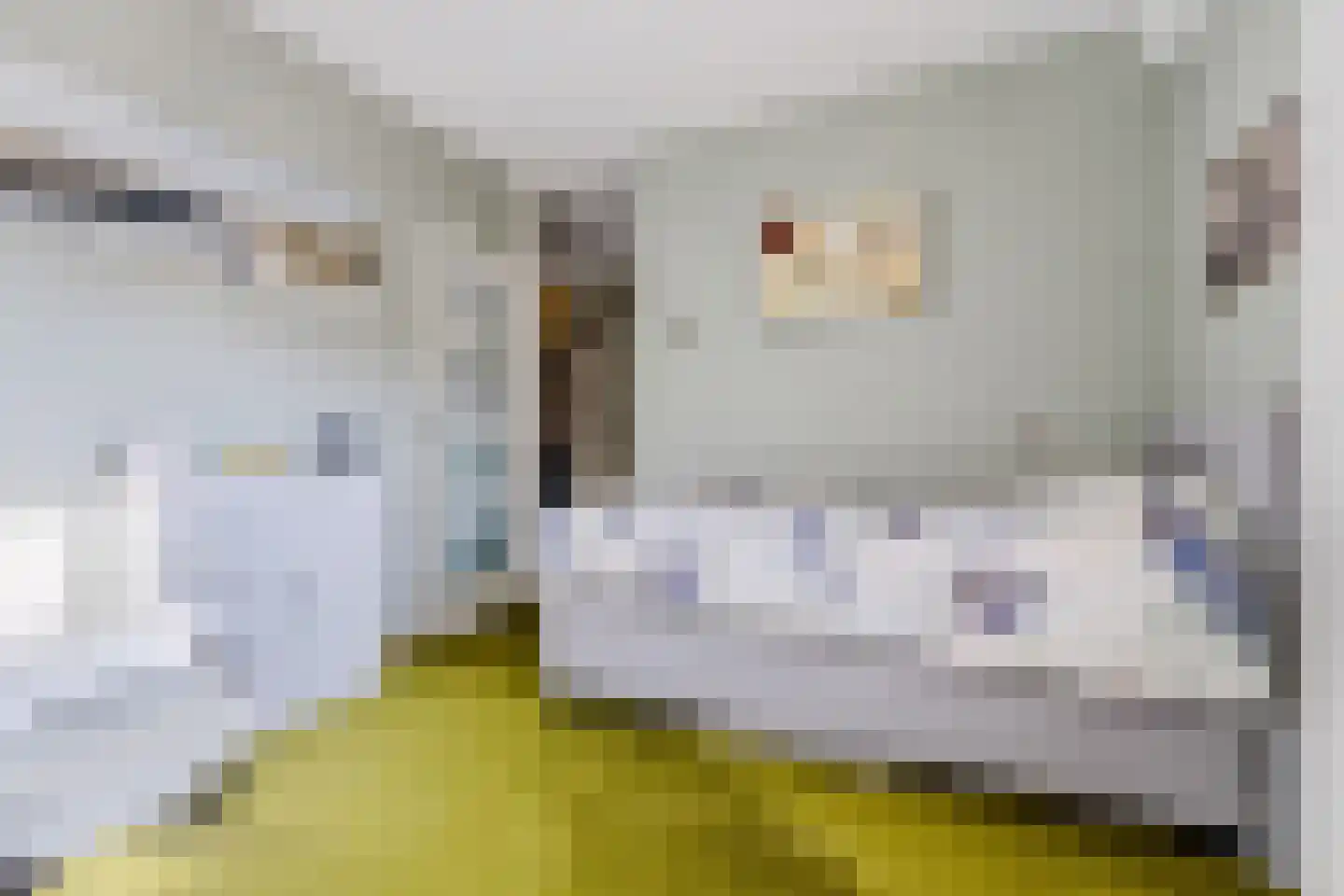 Matsmanzoom 23 Koog aan de Zaan thumbnail 21