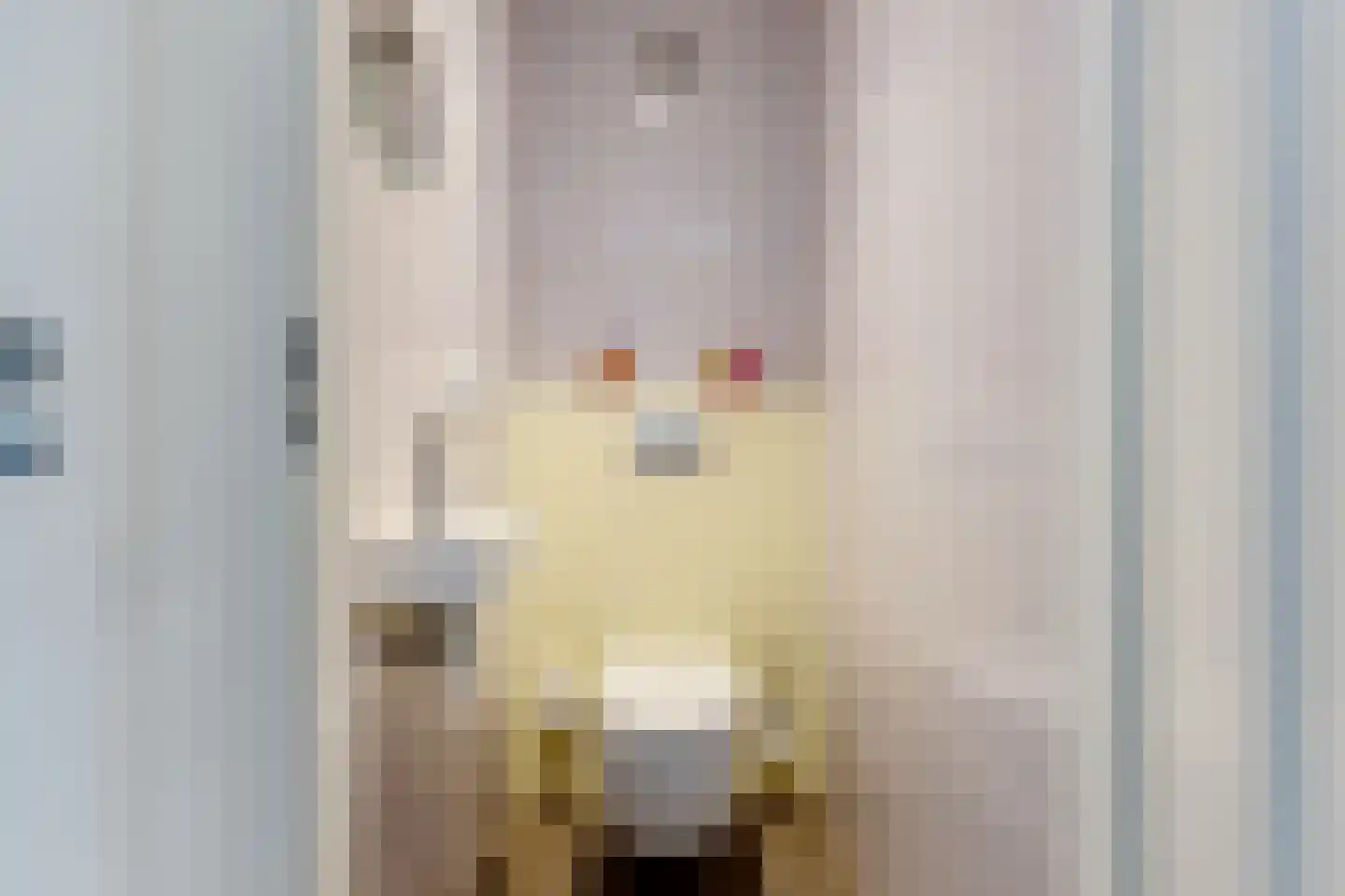 Matsmanzoom 23 Koog aan de Zaan thumbnail 24