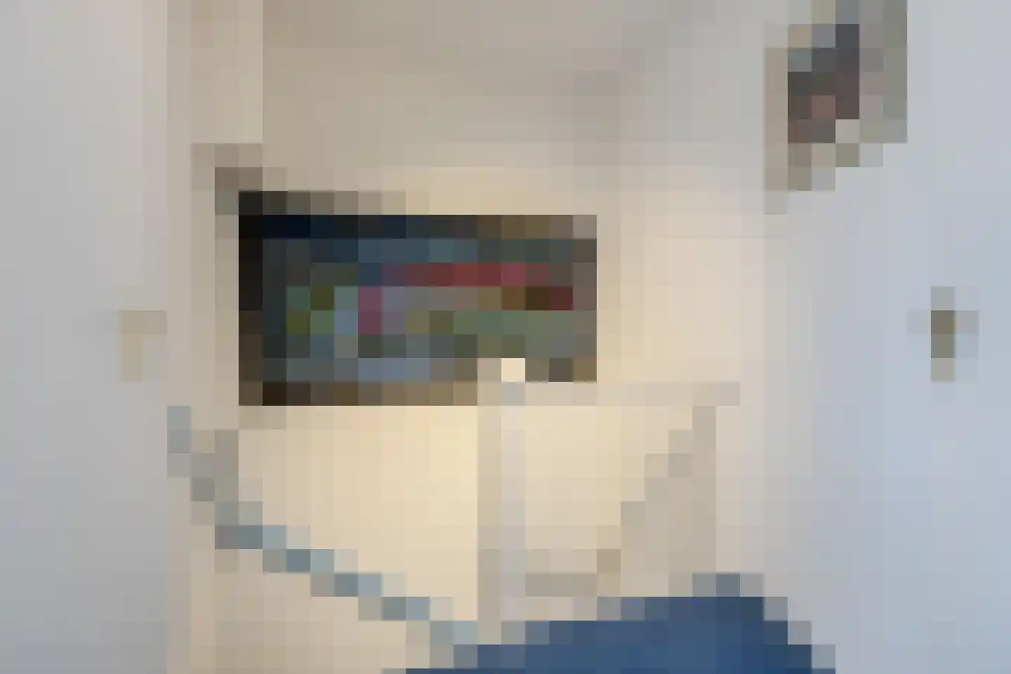 Matsmanzoom 23 Koog aan de Zaan thumbnail 25