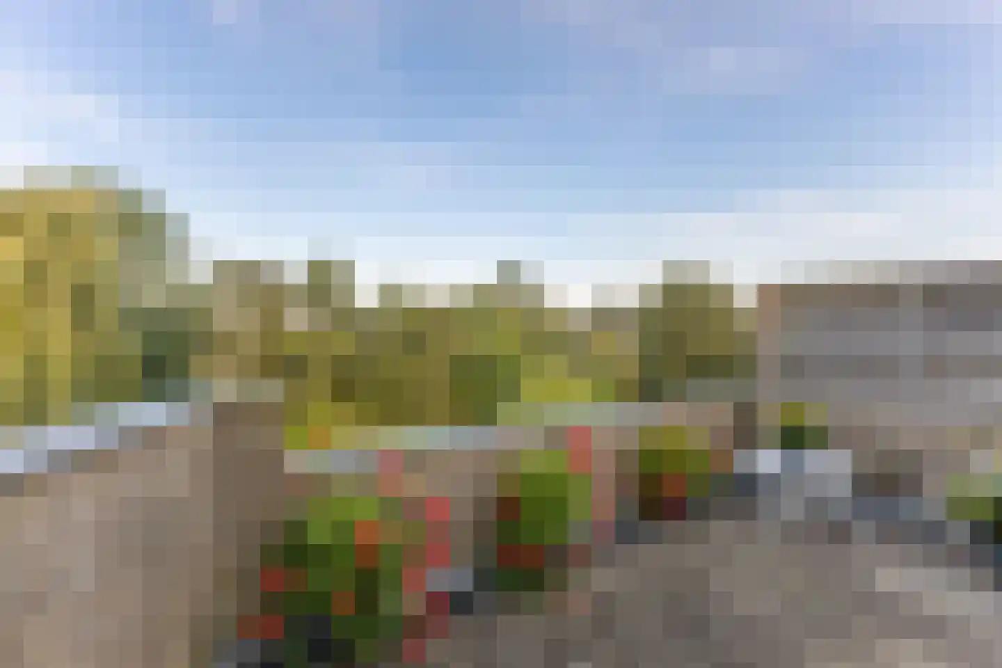 Matsmanzoom 23 Koog aan de Zaan thumbnail 31