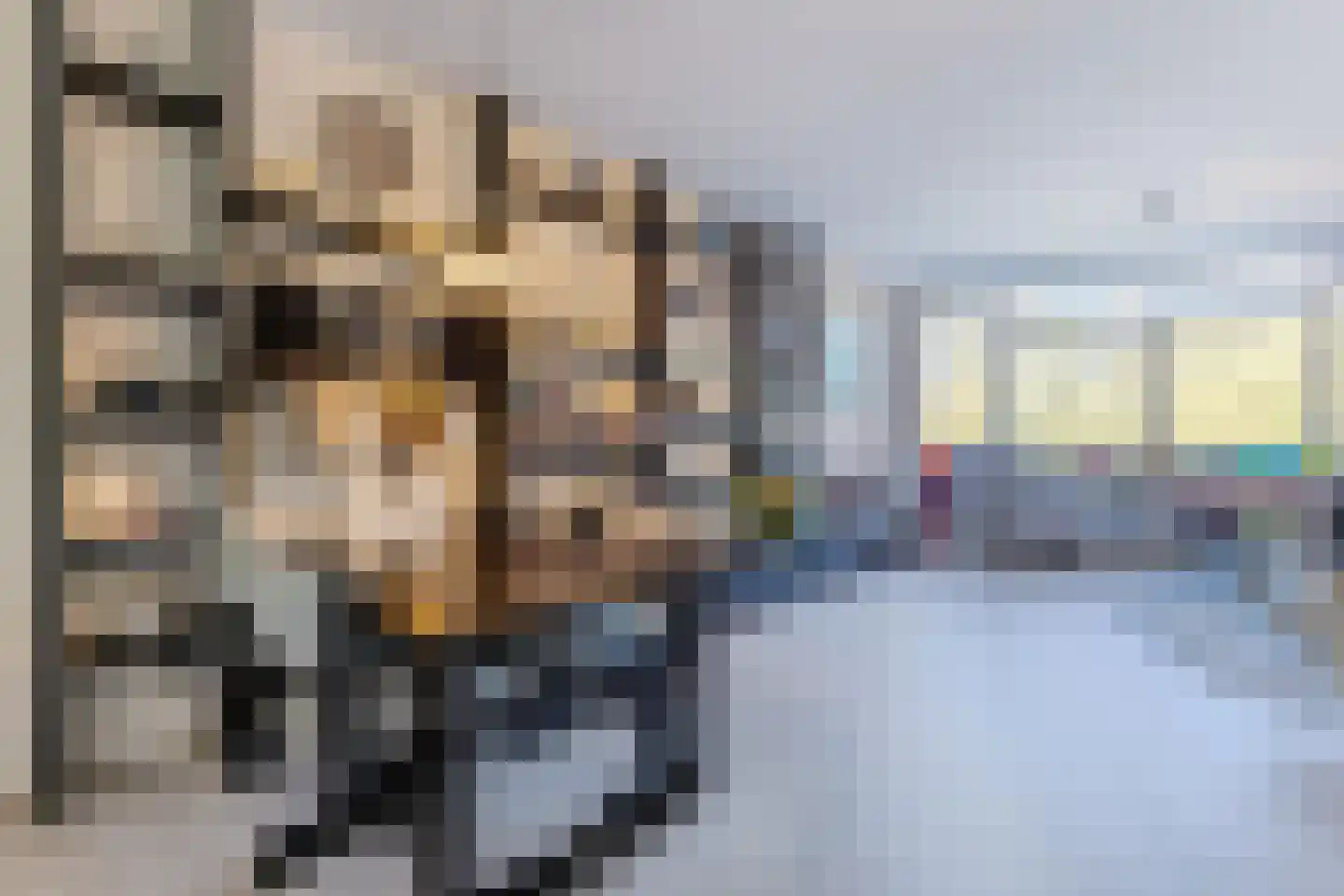 Matsmanzoom 23 Koog aan de Zaan thumbnail 7