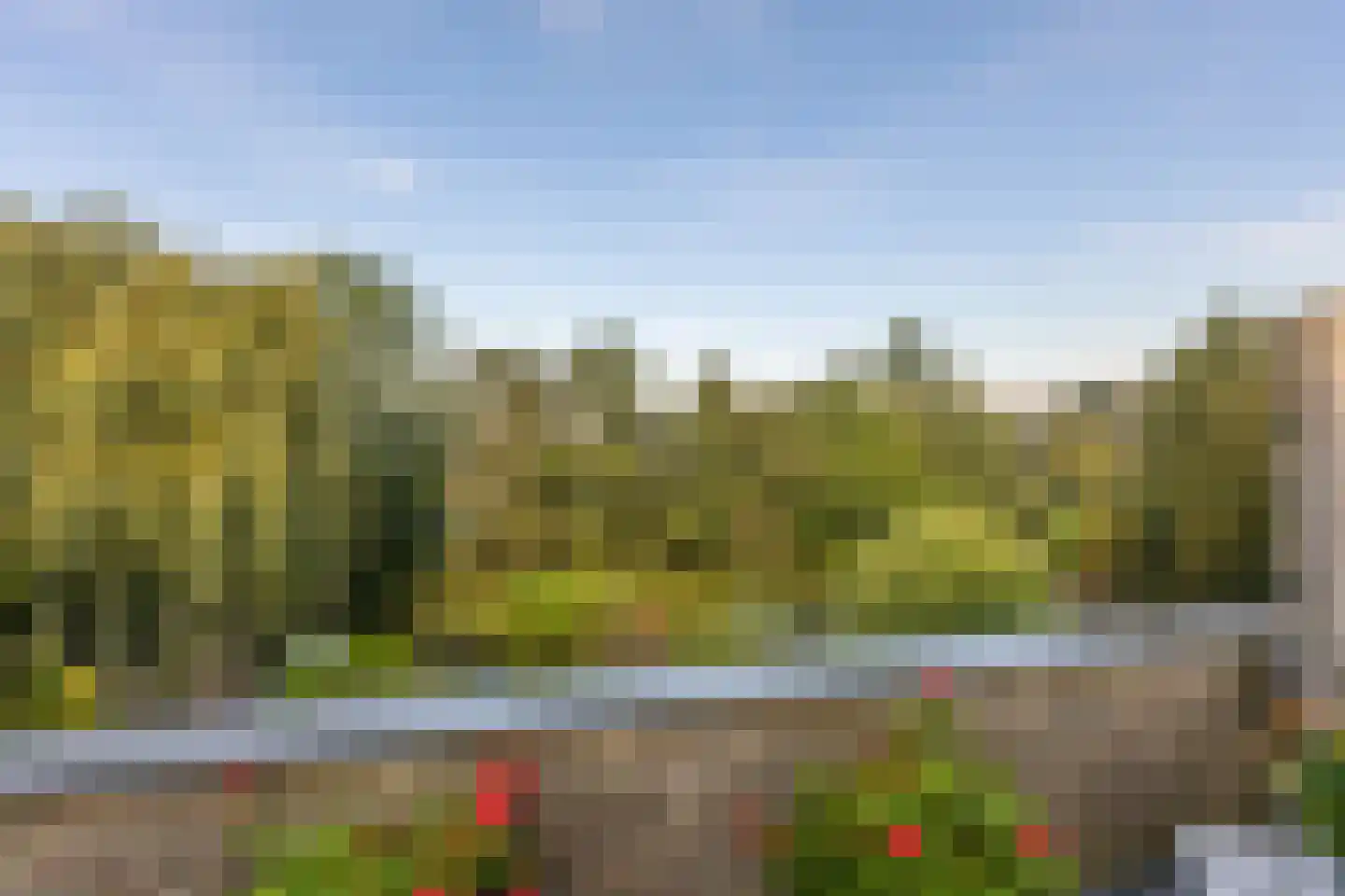 Matsmanzoom 23 Koog aan de Zaan thumbnail 9