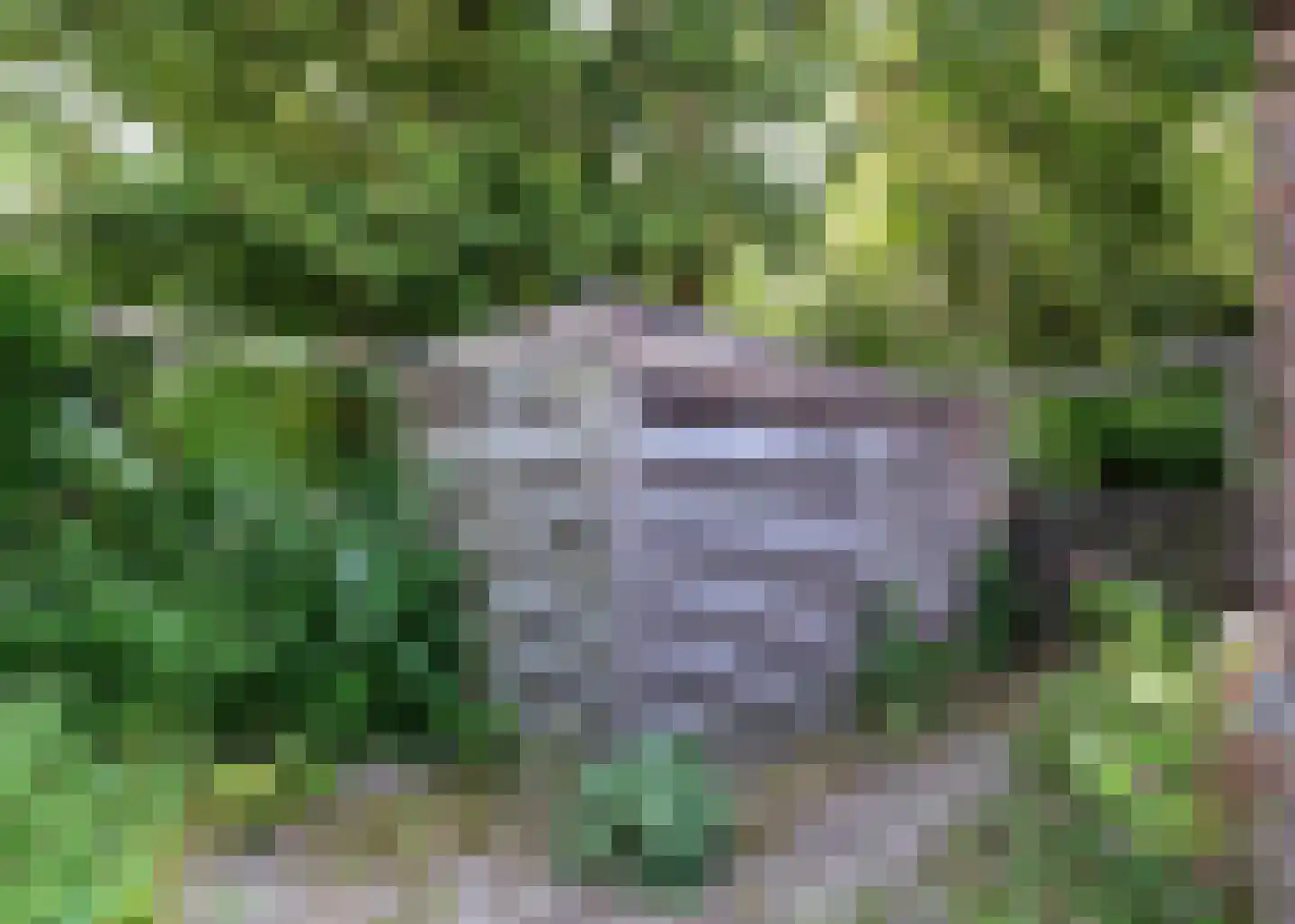 Matsyslaan 14 Heerhugowaard thumbnail 28