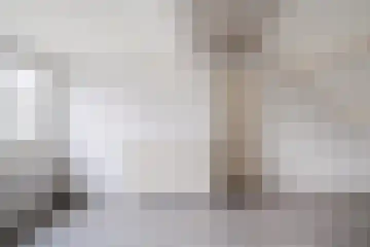 Matsyslaan 20 Heerhugowaard thumbnail 30