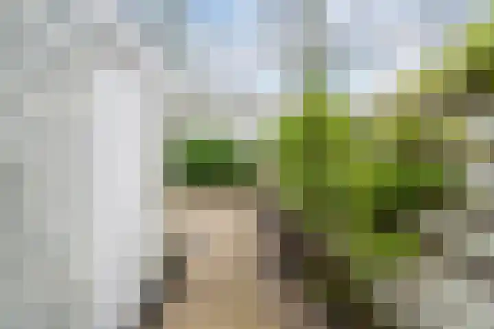 Matsyslaan 20 Heerhugowaard thumbnail 36