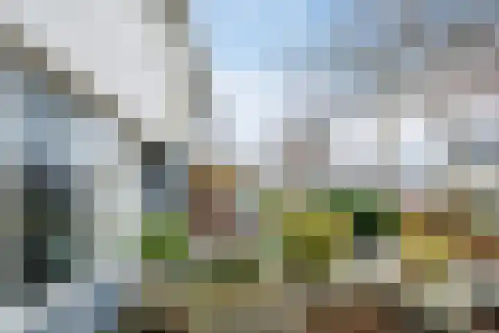 Matsyslaan 20 Heerhugowaard thumbnail 40