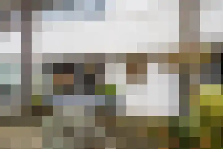 Matsyslaan 20 Heerhugowaard thumbnail 41