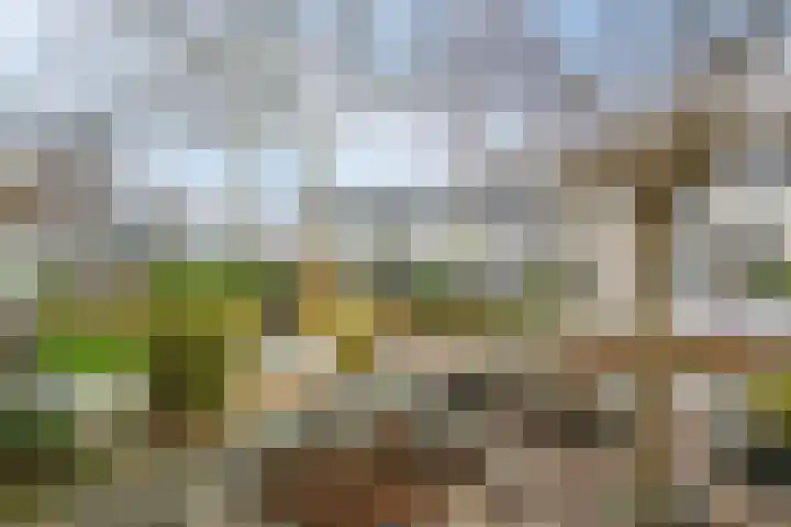 Matsyslaan 20 Heerhugowaard thumbnail 42