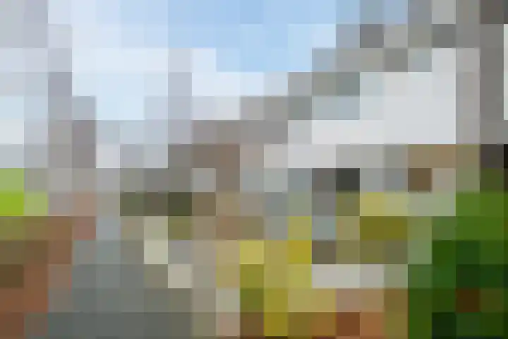 Matsyslaan 20 Heerhugowaard thumbnail 44